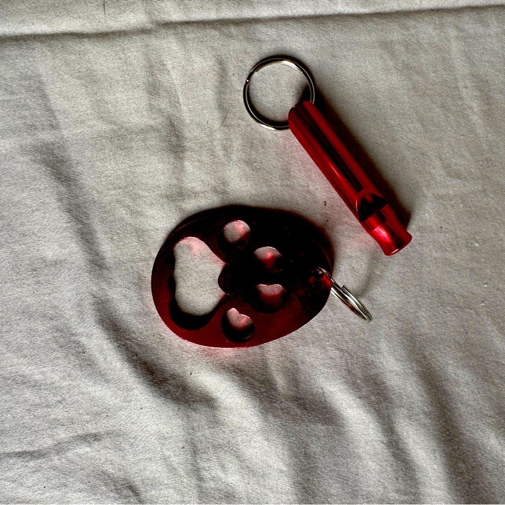 Key chain and whistle